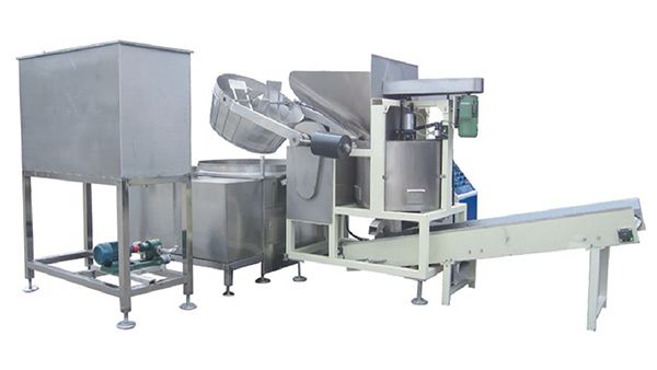 Batch Fryer (150kg/h), 300W